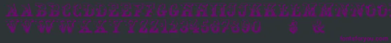 HoltzschueRegular Font – Purple Fonts on Black Background