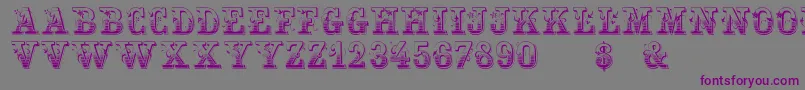 フォントHoltzschueRegular – 紫色のフォント、灰色の背景