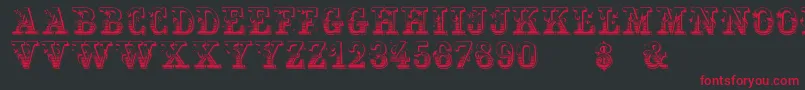 HoltzschueRegular Font – Red Fonts on Black Background