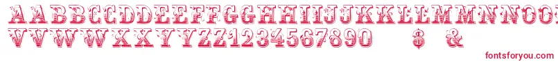 HoltzschueRegular Font – Red Fonts on White Background