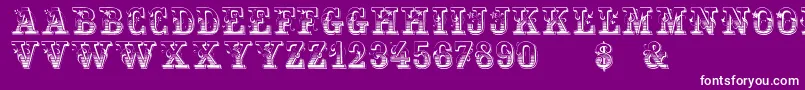 フォントHoltzschueRegular – 紫の背景に白い文字