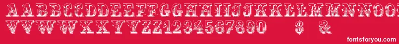 HoltzschueRegular Font – White Fonts on Red Background