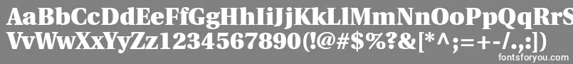 フォントUtopiaBlack – 灰色の背景に白い文字