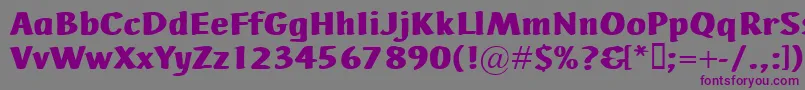 AdHocBis-fontti – violetit fontit harmaalla taustalla