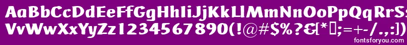 AdHocBis-Schriftart – Weiße Schriften auf violettem Hintergrund