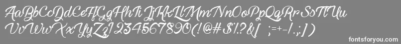 HauntedEyesTtf Font – White Fonts on Gray Background