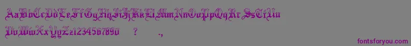 MinnesotawinterRegular-Schriftart – Violette Schriften auf grauem Hintergrund