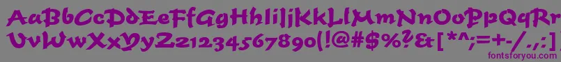 Timescrdbol Font – Purple Fonts on Gray Background