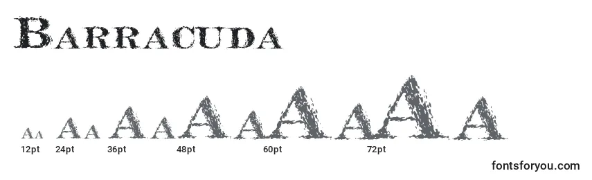 Размеры шрифта Barracuda