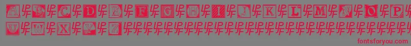 ShrewsburyInitials Font – Red Fonts on Gray Background