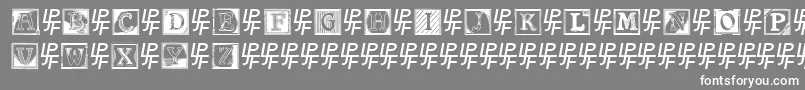 Czcionka ShrewsburyInitials – białe czcionki na szarym tle