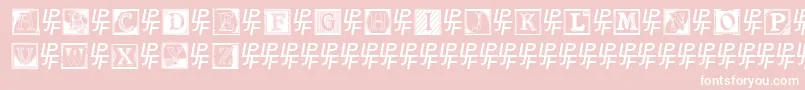 ShrewsburyInitials Font – White Fonts on Pink Background