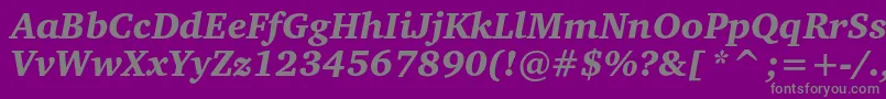 CharterblackcItalic Font – Gray Fonts on Purple Background