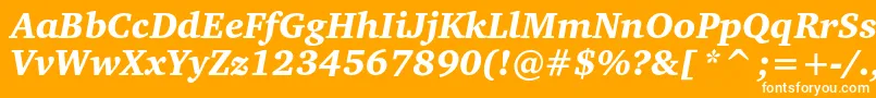 CharterblackcItalic Font – White Fonts on Orange Background