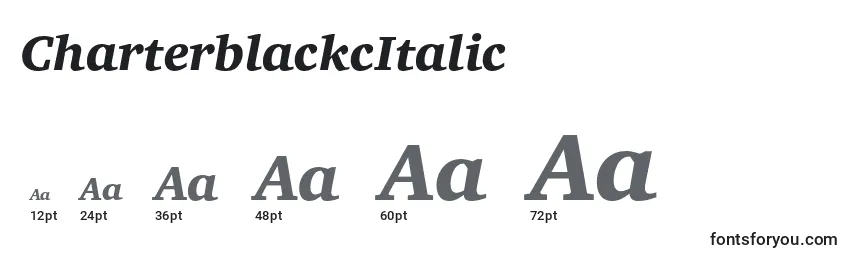 Размеры шрифта CharterblackcItalic