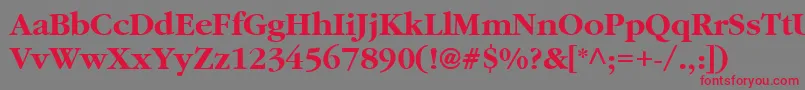 AgGaramondBold Font – Red Fonts on Gray Background