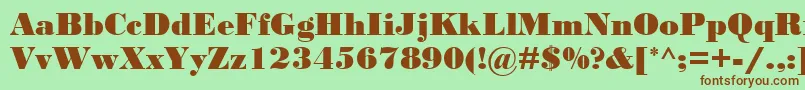 BodoniMtBlack Font – Brown Fonts on Green Background