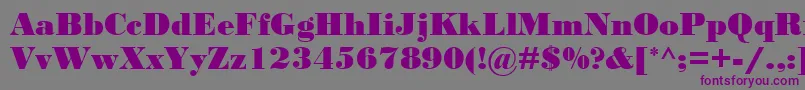 More about BodoniMtBlack Font BodoniMtBlack Font – Purple Fonts on Gray Background