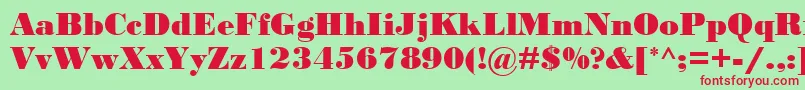 BodoniMtBlack Font – Red Fonts on Green Background