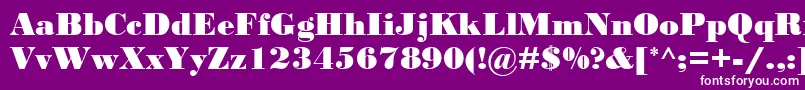 BodoniMtBlack Font – White Fonts on Purple Background