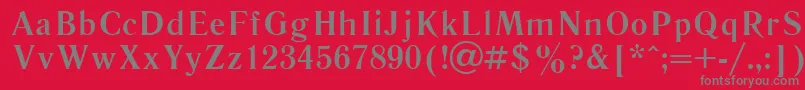 LiteraturnayaBold.001.001 Font – Gray Fonts on Red Background