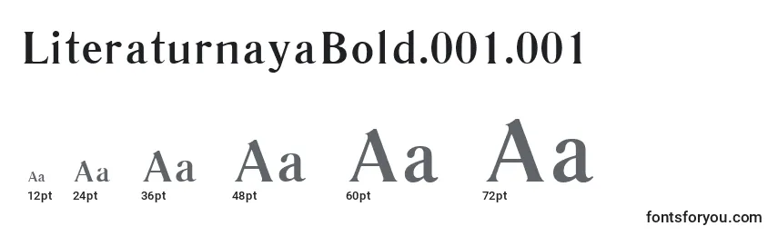 Размеры шрифта LiteraturnayaBold.001.001