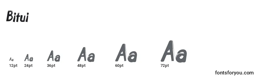Bitui Font Sizes