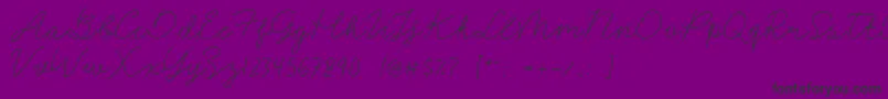 Signerella Font – Black Fonts on Purple Background