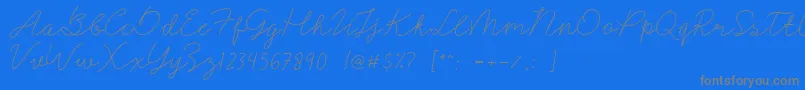 Signerella-Schriftart – Graue Schriften auf blauem Hintergrund