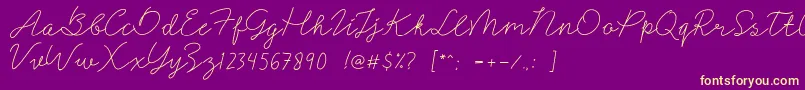 Signerella Font – Yellow Fonts on Purple Background