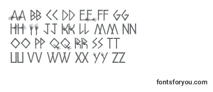 Review of the Amhos Font