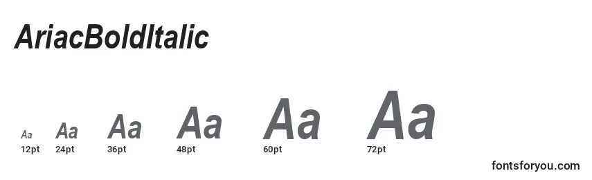 Размеры шрифта AriacBoldItalic