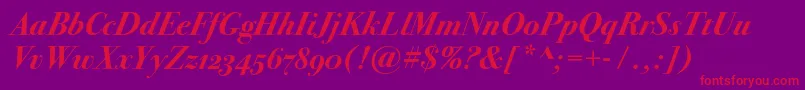 Bodoni72oscBolditalic Font – Red Fonts on Purple Background