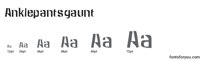 Размеры шрифта Anklepantsgaunt