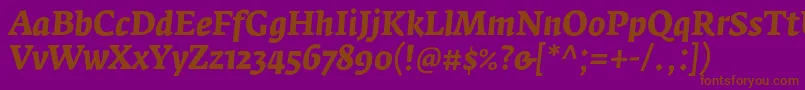 FedraserifaproBolditalic Font – Brown Fonts on Purple Background