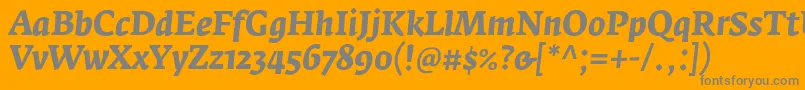 フォントFedraserifaproBolditalic – オレンジの背景に灰色の文字