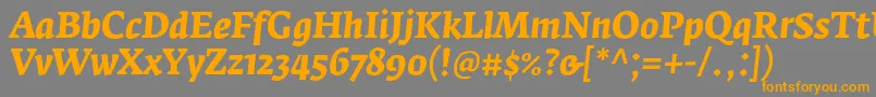 FedraserifaproBolditalic Font – Orange Fonts on Gray Background