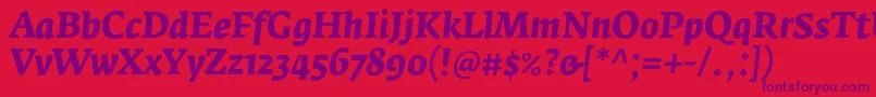 FedraserifaproBolditalic Font – Purple Fonts on Red Background
