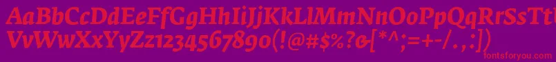 FedraserifaproBolditalic Font – Red Fonts on Purple Background
