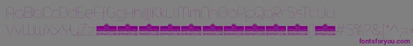 フォントAristaProHairlineTrial – 紫色のフォント、灰色の背景