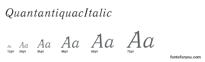QuantantiquacItalic Font Sizes