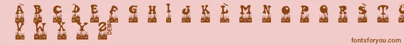 Halovendemo Font – Brown Fonts on Pink Background