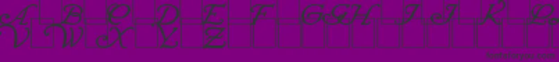 WrennInitialsBold Font – Black Fonts on Purple Background