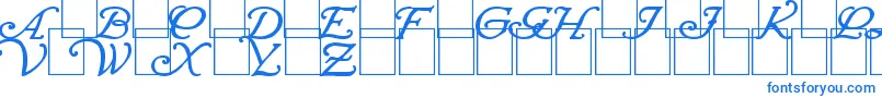 WrennInitialsBold-fontti – siniset fontit
