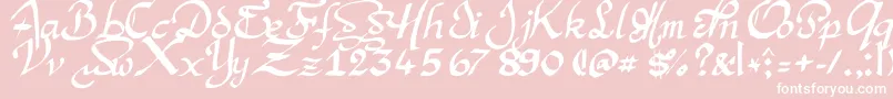 Argmansc-Schriftart – Weiße Schriften auf rosa Hintergrund