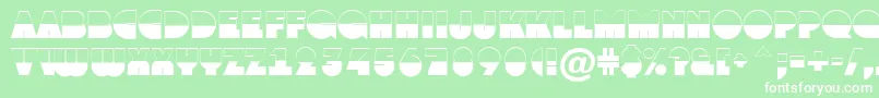 Grotob1 Font – White Fonts on Green Background