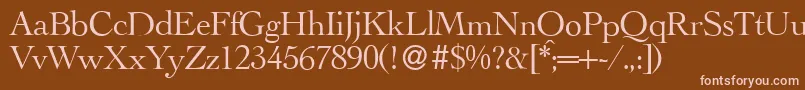 LegaRegular Font – Pink Fonts on Brown Background