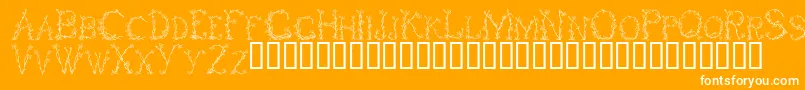 FleursDeLiane-Schriftart – Weiße Schriften auf orangefarbenem Hintergrund