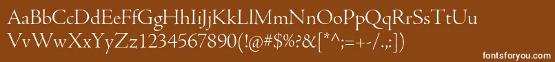 AjensonproLtdisp Font – White Fonts on Brown Background
