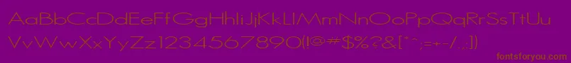 More about SansSerifMedium Font SansSerifMedium Font – Brown Fonts on Purple Background